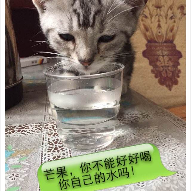 用国外身份注册币安