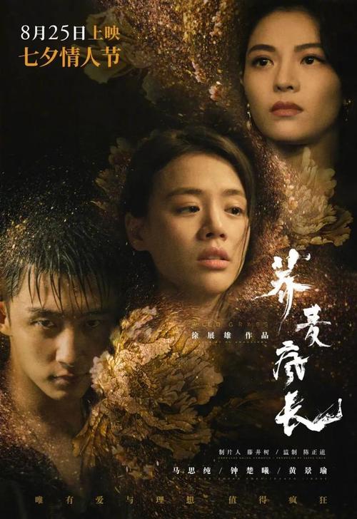 一比一仿西班牙公用事业账单电费账单规模